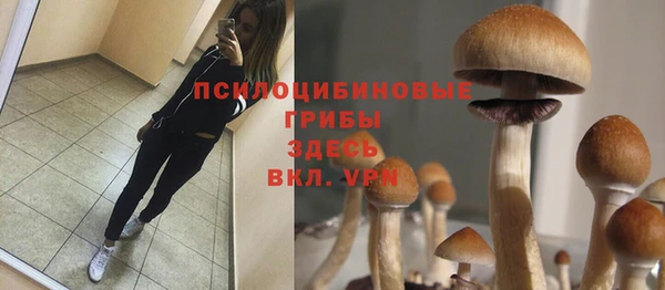 наркотики Снежногорск